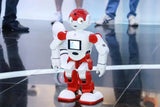 home guard programmable Humanoid Robot Smart home control joyable Robot with SDK