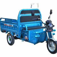 China Factory Moto Tricycle Cargo 60V 1000W Wheel Electric Cargo Trike Best Safety Popular Cargo Electric Tricycles