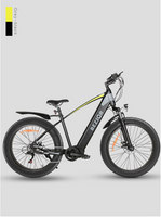 BEZIOR XF800 Mid Motor Fat Tire Electric Mountain Bike 500W Mid Drive Electric Moped Bicycle with 48V Lithium Battery 7-Speed Off-Road E-Bike