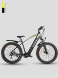 BEZIOR XF800 Mid Motor Fat Tire Electric Mountain Bike 500W Mid Drive Electric Moped Bicycle with 48V Lithium Battery 7-Speed Off-Road E-Bike