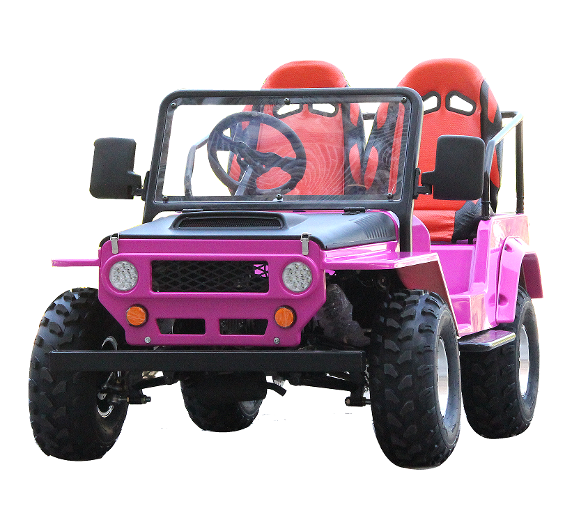 1200W Electric Quad ATV - Unleash Your Off-Road Adventure with this Powerful Mini All-Terrain Vehicle