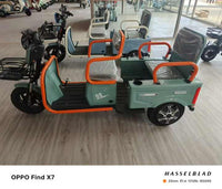 New Upgrade Small Buggy Passenger-cargo Tricycle Electric for 5 Passengers 600W 800W Pickup Truck 3 Wheels Moped Scooter Elderly