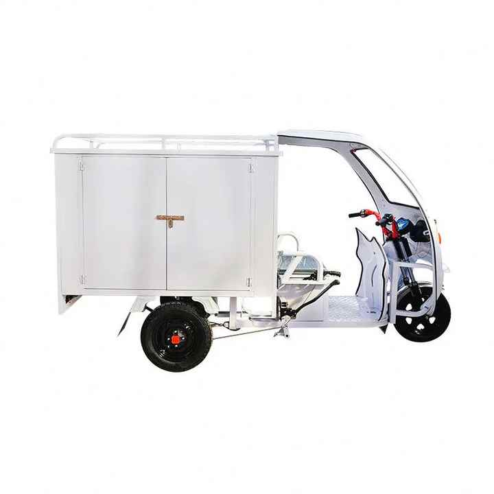 NEW Energy Electric Tricycle 600W Electric Cargo Tricycle with Closed Driver Cabin and Closed Cargo Box for Deliver Use