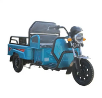 China Factory Moto Tricycle Cargo 60V 1000W Wheel Electric Cargo Trike Best Safety Popular Cargo Electric Tricycles