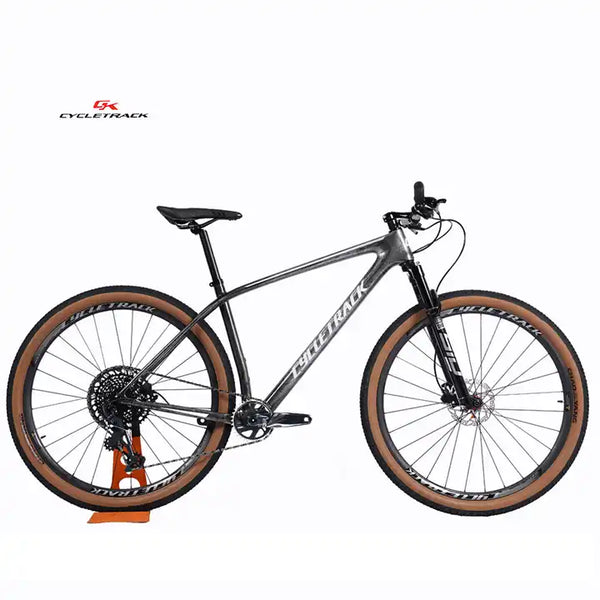 carbon mountainbike 29 Cycletrack Full Suspension Downhill 12 Speed Mountain Bike 29 Carbon F