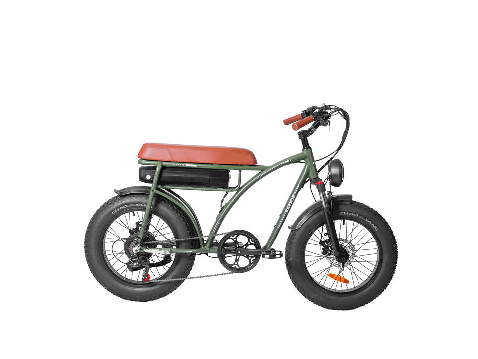 BEZIOR XF001 1000W Electric Moped Bike - Full Suspension, 20*3.0 Inch Wheels, Long Seat - Powerful and Affordable City Ebike for Commuting and Exploration