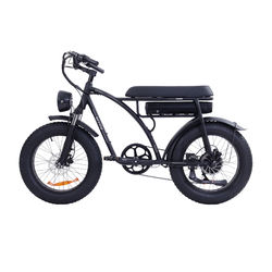 BEZIOR XF001 1000W Electric Moped Bike - Full Suspension, 20*3.0 Inch Wheels, Long Seat - Powerful and Affordable City Ebike for Commuting and Exploration
