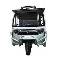 Tricyclecra Motorcycle Pickup Truck Electric 3 Wheel Cargo 2024 Adults