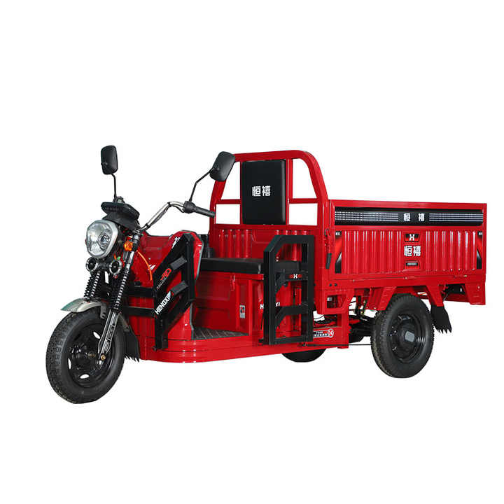Professional Factory Passenger Electric Tricycle Pedicab Cargo Motorcycle Open Types Delivery Vehicle
