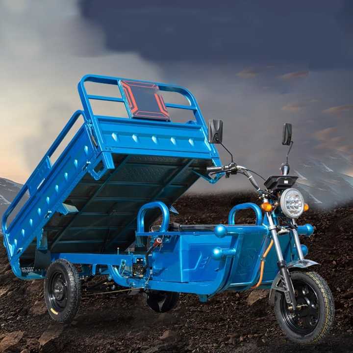 Large Capacity 500W Electric Tricycle Cargo New Design 3-Wheel Vehicle with 60V Voltage Made of Plastic Steel Iron ABS Material