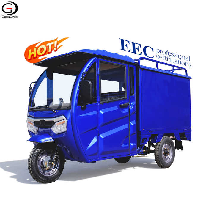 SS-3.1 EEC Certified New for 2024 Cargo Tricycle Electric Tricycles for Adults Totally Enclosed Cargo Tricycle 3wheel