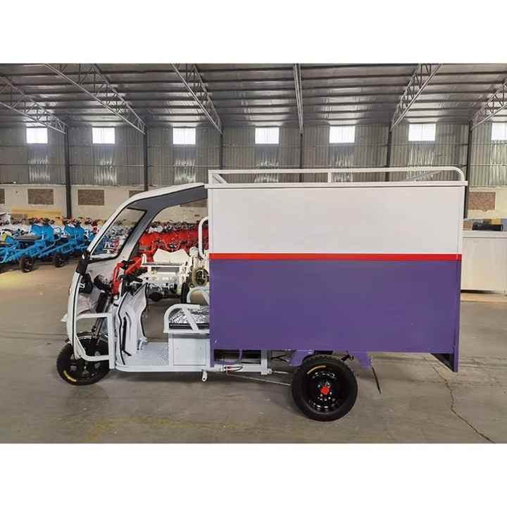 NEW Energy Electric Tricycle 600W Electric Cargo Tricycle with Closed Driver Cabin and Closed Cargo Box for Deliver Use