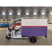 NEW Energy Electric Tricycle 600W Electric Cargo Tricycle with Closed Driver Cabin and Closed Cargo Box for Deliver Use