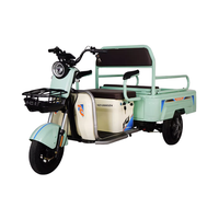 High Quality Electric Tricycles Electric Trike Electric Tricycle 800W 1000W Cargo Trucks