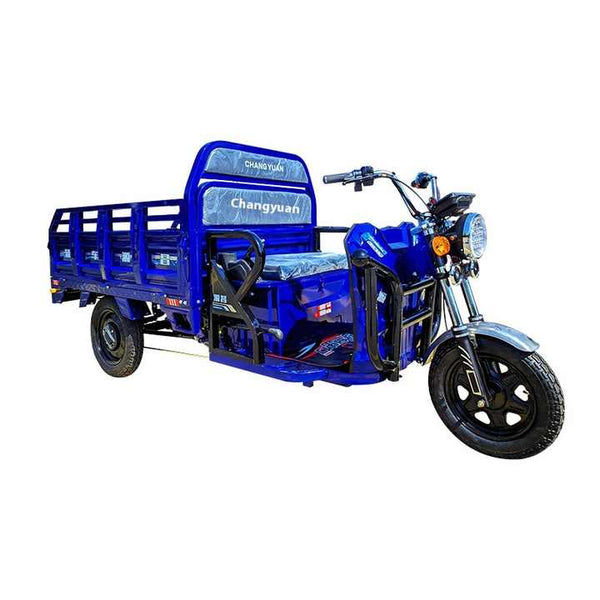 Shanghai Ce Cargo Electric Tricycle 60V 1000w Automatic Reverse 2 Battery 2 Motors Open Body for Adults