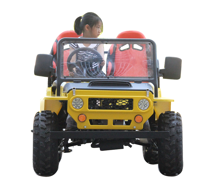 1200W Electric Quad ATV - Unleash Your Off-Road Adventure with this Powerful Mini All-Terrain Vehicle