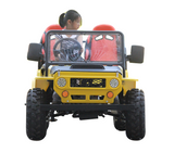 1200W Electric Quad ATV - Unleash Your Off-Road Adventure with this Powerful Mini All-Terrain Vehicle