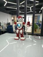 home guard programmable Humanoid Robot Smart home control joyable Robot with SDK