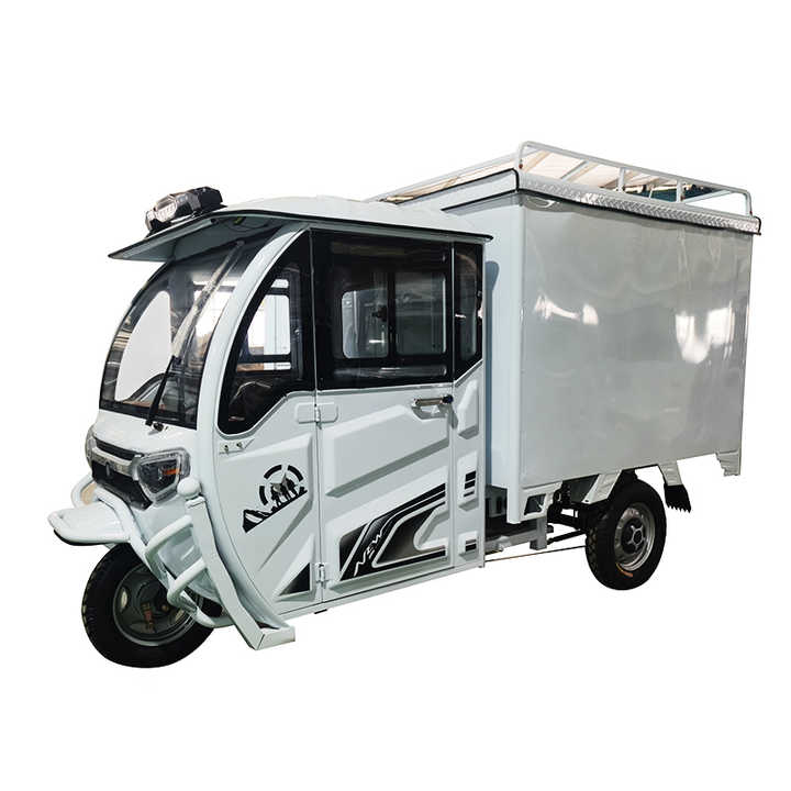 Tricyclecra Motorcycle Pickup Truck Electric 3 Wheel Cargo 2024 Adults