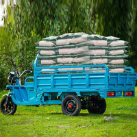Cargo Electric Tricycle Electric Tricycle for 2 Person Electric Cargo Tricycle Scooter
