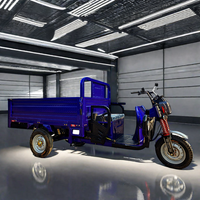Shanghai Ce Cargo Electric Tricycle 60V 1000w Automatic Reverse 2 Battery 2 Motors Open Body for Adults