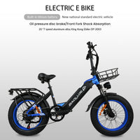 BLJ DP-2003 Electric Bicycle: 48V/500W E-Bike with Hydraulic Brake and LED Dashboard - Experience Power and Style