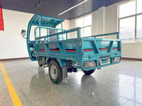 3W4S EEC Electric Tricycle 3 Wheel Scooter Electric Bike Electric Mobility for Cargo