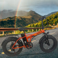 BLJ DZ-2031 Fat folding ebike 20inch SHIMANO 21 Speed 48V750W 10AH electric bike