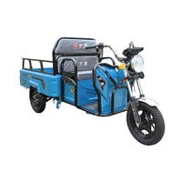Professional Electric Cargo Tricycle Open Body Keke Tricycle with 48v Lithium Battery for Passenger Use
