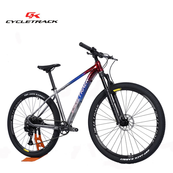 CYCLETRACK 27.5er Carbon Fiber Frame Mountain Bike 27.5 29 inch 12 Spe E Smart Way