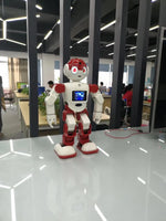 home guard programmable Humanoid Robot Smart home control joyable Robot with SDK