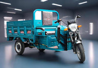 800W-1500W Factory Direct Sales EV Cargo Electric Tricycle