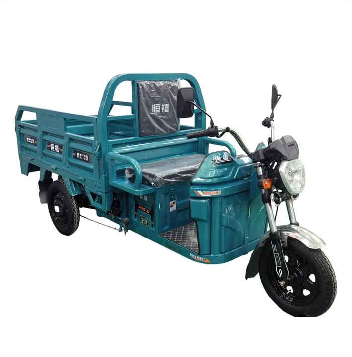 Wholesale Adults Cargo 3 Wheel Motorcycle Motorized Top Speed 40km/H Electric Tricycle