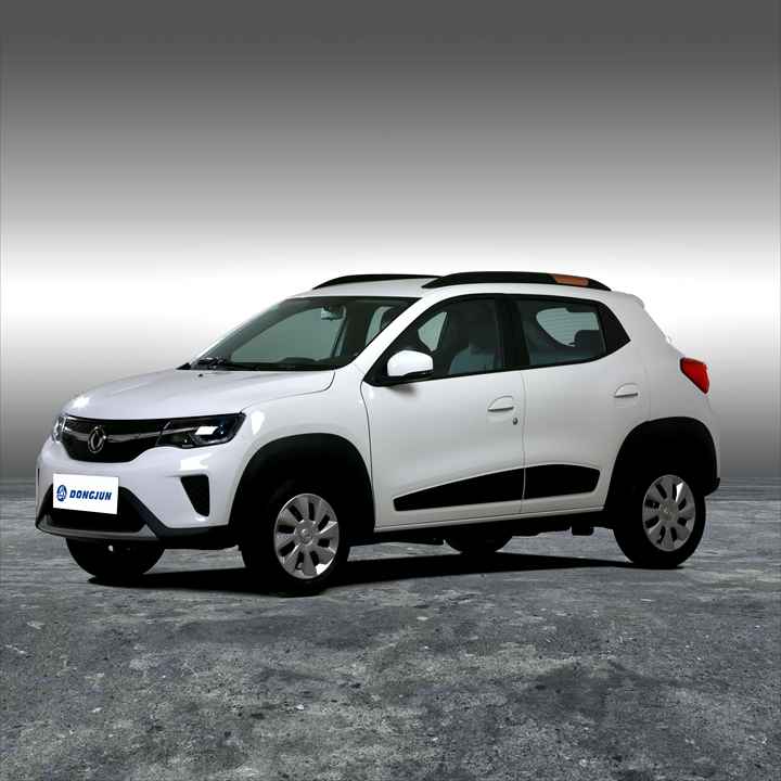 Dongfeng Nammi EX1 Pro Fast Charge Battery New Energy Electric Car Adult Vehicle New Energy Mini Electric Car for Adults