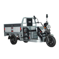 Professional Factory Passenger Electric Tricycle Pedicab Cargo Motorcycle Open Types Delivery Vehicle