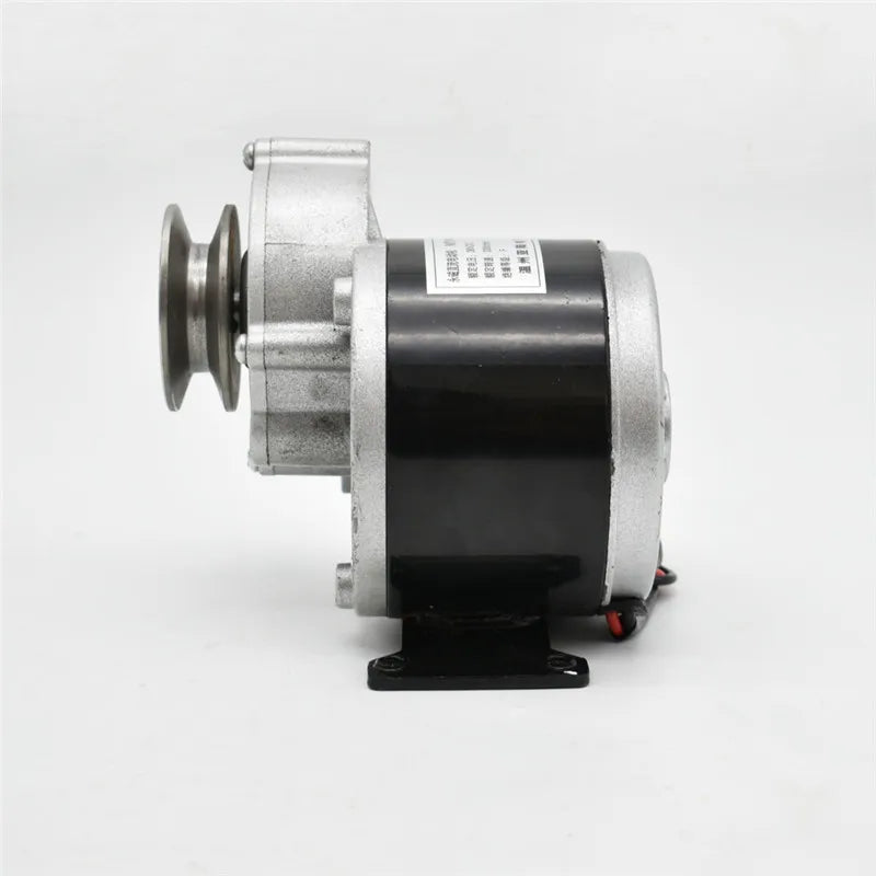 12V 24V 36V 250W Brushed Permanent Magnet DC Gear Motor MY1016Z Electric Bike Bicycle Tricycle Ebike Belt Motor Big Torque