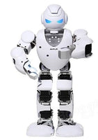 Alpha 1s Factory UBTECH 3D Programmable Humaniod Robot For Intelligent Life