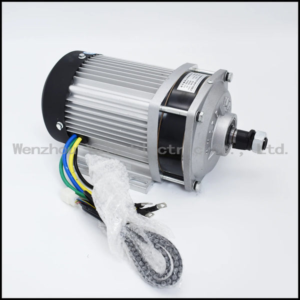 Large scale assembly line Brushless DC Holzer motor BM1412ZXF1200W48/60/72V