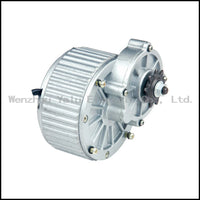 MY1018 250W24/36V super cooling aluminum die-casting Electric door  gear motor