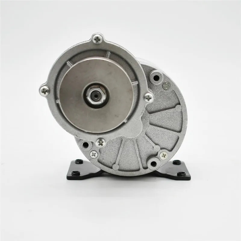 12V 24V 36V 250W Brushed Permanent Magnet DC Gear Motor MY1016Z Electric Bike Bicycle Tricycle Ebike Belt Motor Big Torque