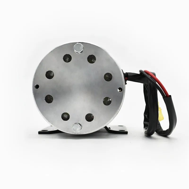 Made in China high speed big power all terrain electric vehicle brush motor MY1020 1000W36/48V  e Scooter Motor