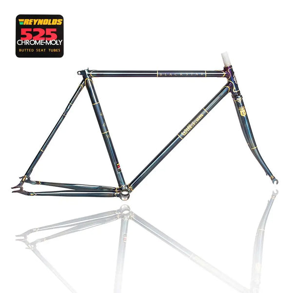 Vintage Steel Frame/Fork Road Bike Custom Frame/Fork Reynolds 525/725/853 Retro bicycle columbus pipe frame Bicycle Accessories