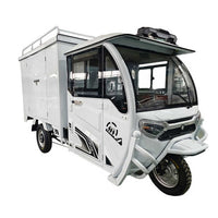 Tricyclecra Motorcycle Pickup Truck Electric 3 Wheel Cargo 2024 Adults