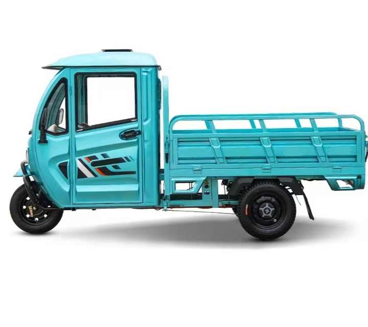 Europe and America Popular High Quality 1000w Three Wheels Triciclo Electric Cargo Tricycle Electric Cargo Tricycle for Adult