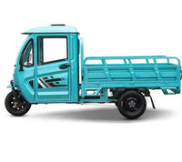 Europe and America Popular High Quality 1000w Three Wheels Triciclo Electric Cargo Tricycle Electric Cargo Tricycle for Adult