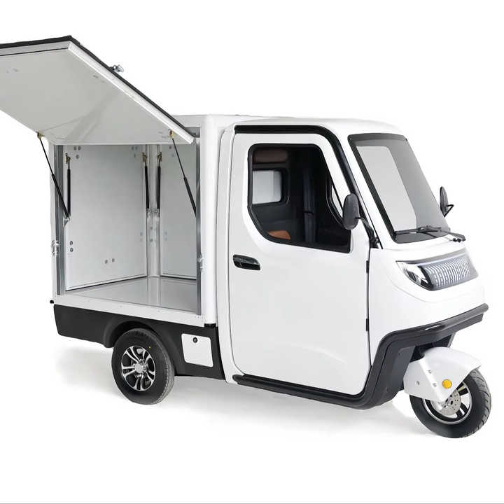 3.0kw Better Quality Delivery Cargo Trike Electric Tricycle for Market