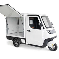 3.0kw Better Quality Delivery Cargo Trike Electric Tricycle for Market