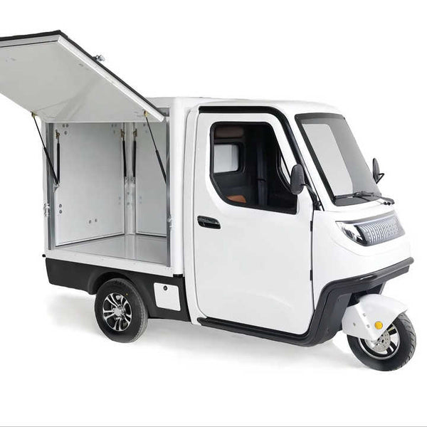 3.0kw Better Quality Delivery Cargo Trike Electric Tricycle for Market