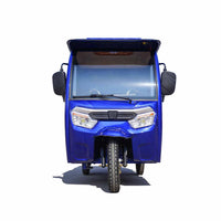 SS-3.1 EEC Certified New for 2024 Cargo Tricycle Electric Tricycles for Adults Totally Enclosed Cargo Tricycle 3wheel