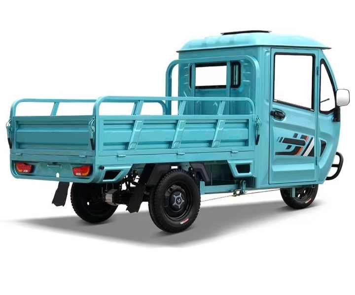 Europe and America Popular High Quality 1000w Three Wheels Triciclo Electric Cargo Tricycle Electric Cargo Tricycle